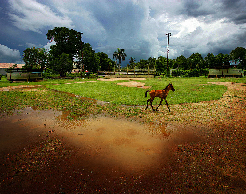 We had completed these arrangements for our protection.